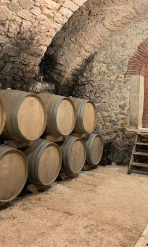 Valpolicella: Degustazione di cibo e olio d'oliva + trasporto opzionale