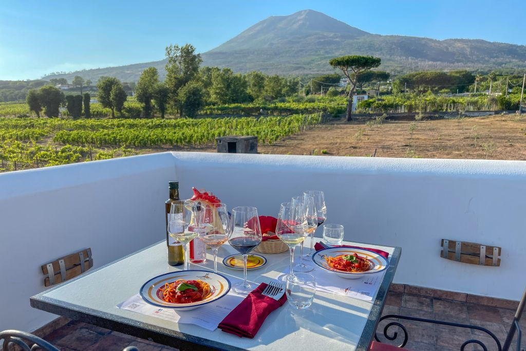 Le Vésuve : Dégustation de vin dans un vignoble de Naples