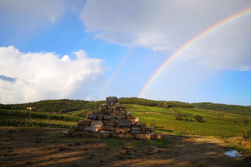 Siena: Cata de vinos + Bruschetta en un viñedo toscano