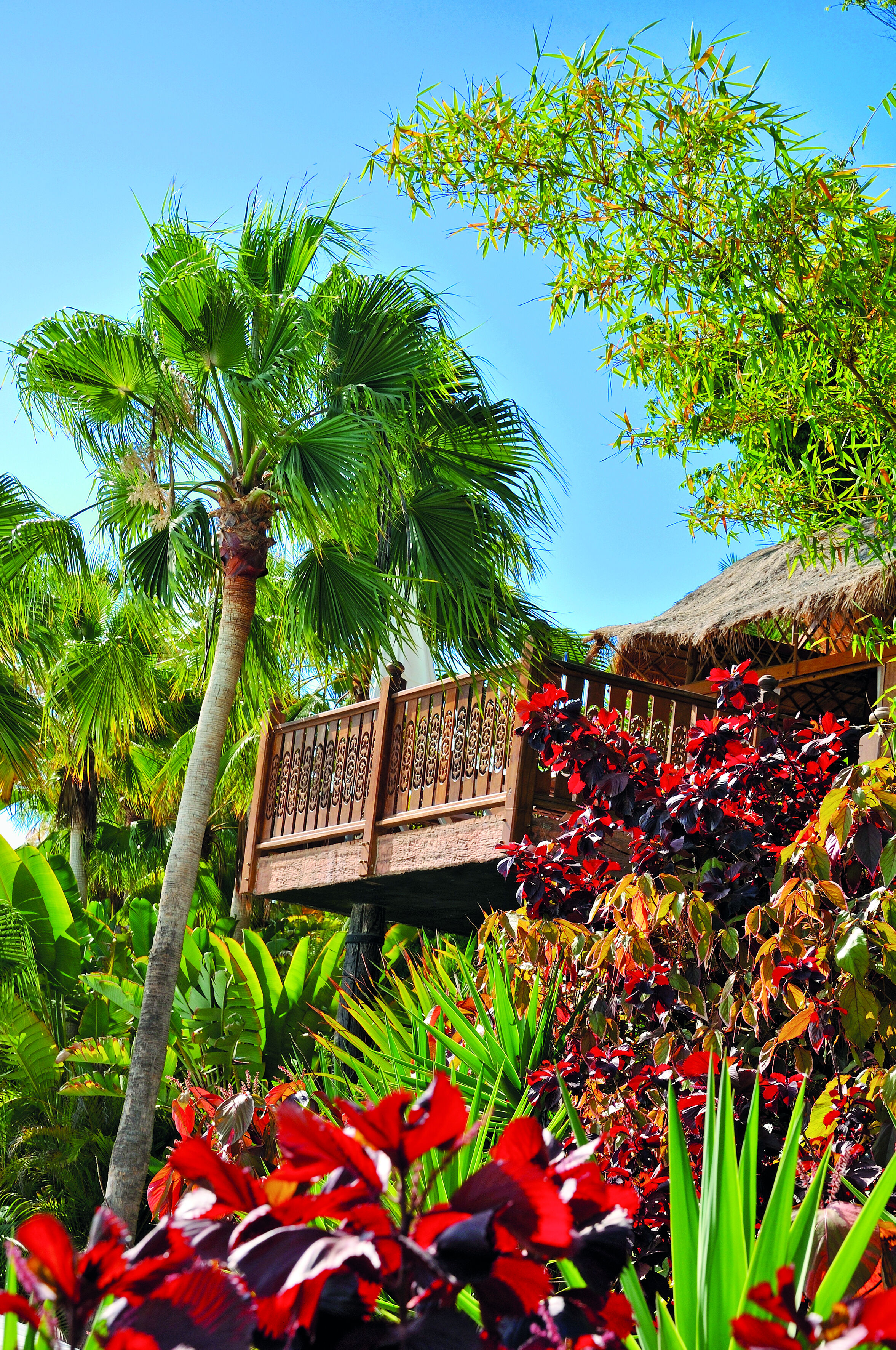 Siam Park