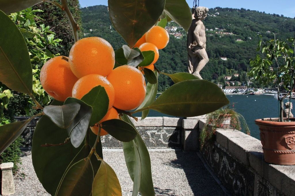 Isola Madre et Isola Bella : Excursion en bateau Hop-on Hop-off