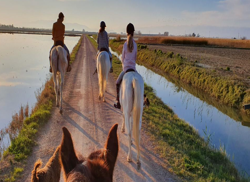 Paseo a Caballo por el Parque Natural del Delta del Ebro 