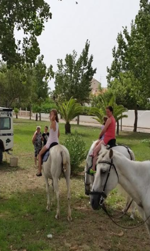 Paseo a Caballo por el Parque Natural del Delta del Ebro 