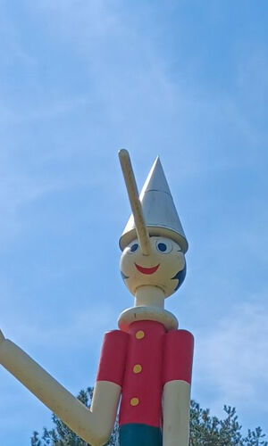 Parco di Pinocchio: Biglietto d'ingresso