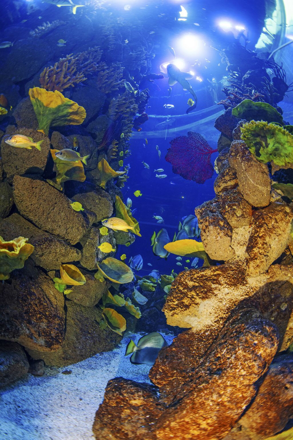 Poema del Mar