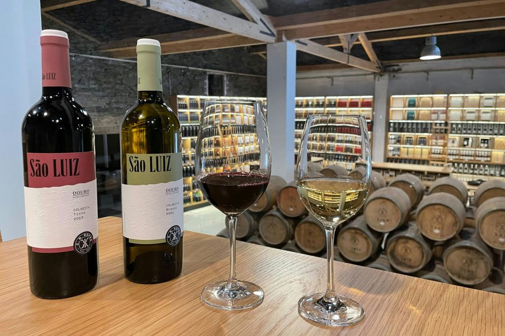 Valle del Duero, Amarante y Regua: Excursión de un día con cata de vinos