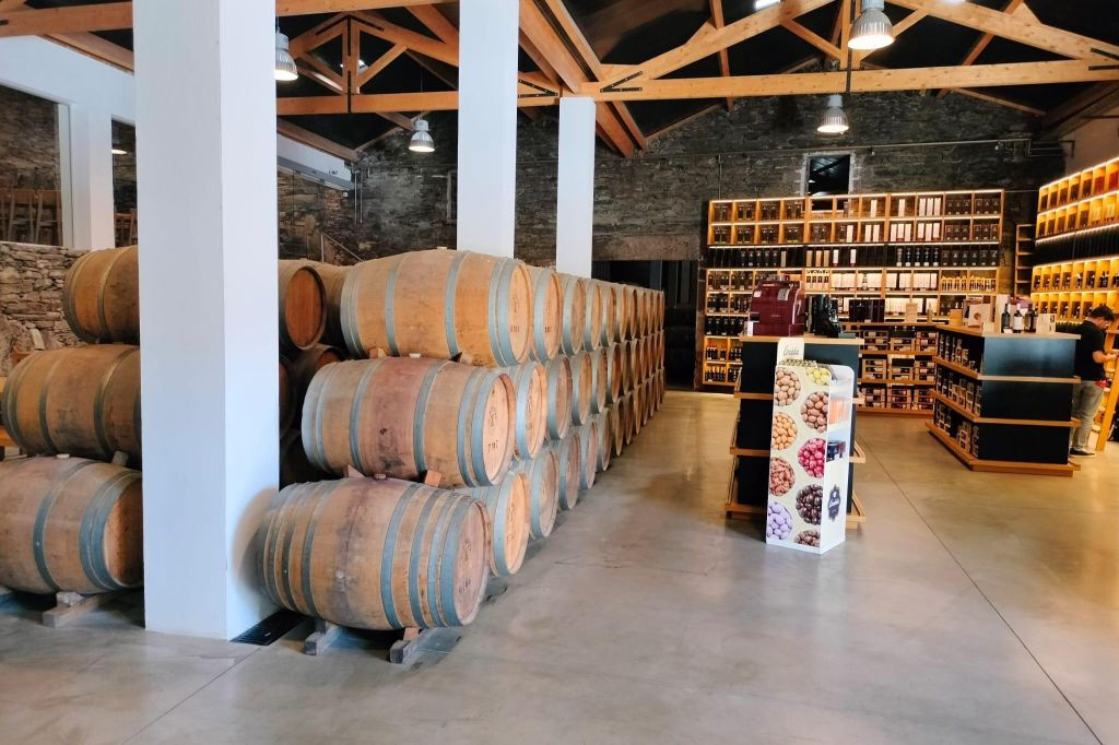 Douro Valley, Amarante & Regua: Day Trip with Wine Tasting