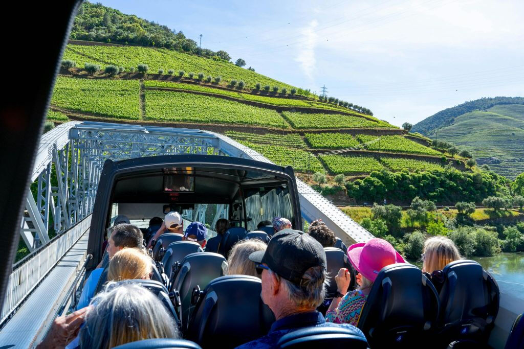 Vale do Douro, Amarante e Régua: Passeio de um dia com degustação de vinhos