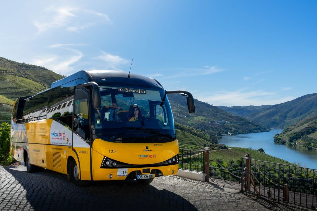 Valle del Duero, Amarante y Regua: Excursión de un día con cata de vinos