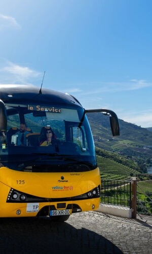 Valle del Duero, Amarante y Regua: Excursión de un día con cata de vinos