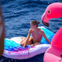 Barcelona: Sailing + Snorkeling + Drinks