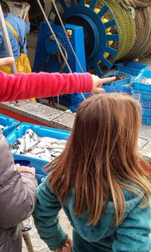 Barcelona Fishermen's Guild: Entry Ticket + Guided Tour