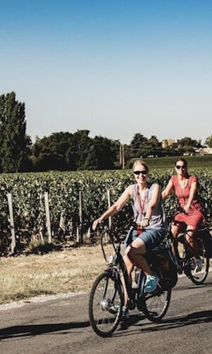 Da Saint-Emilion: Tour di mezza giornata in bicicletta elettrica di Saint-Emilion