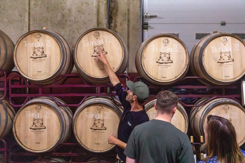Desde Albufeira: Excursión de un día para catar vinos