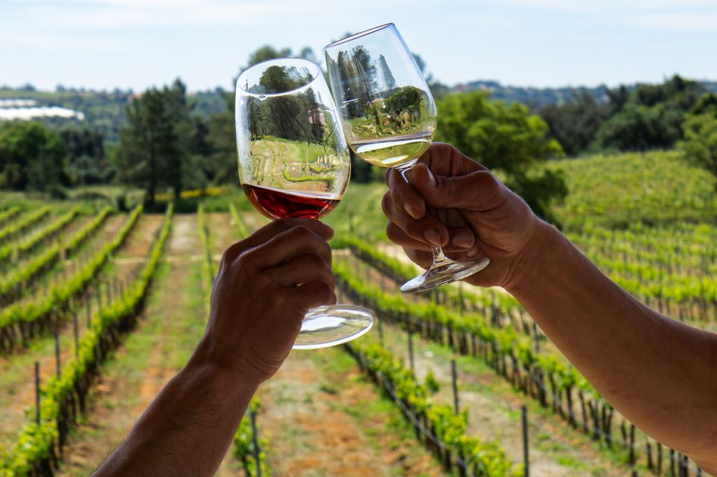 Desde Albufeira: Excursión de un día para catar vinos