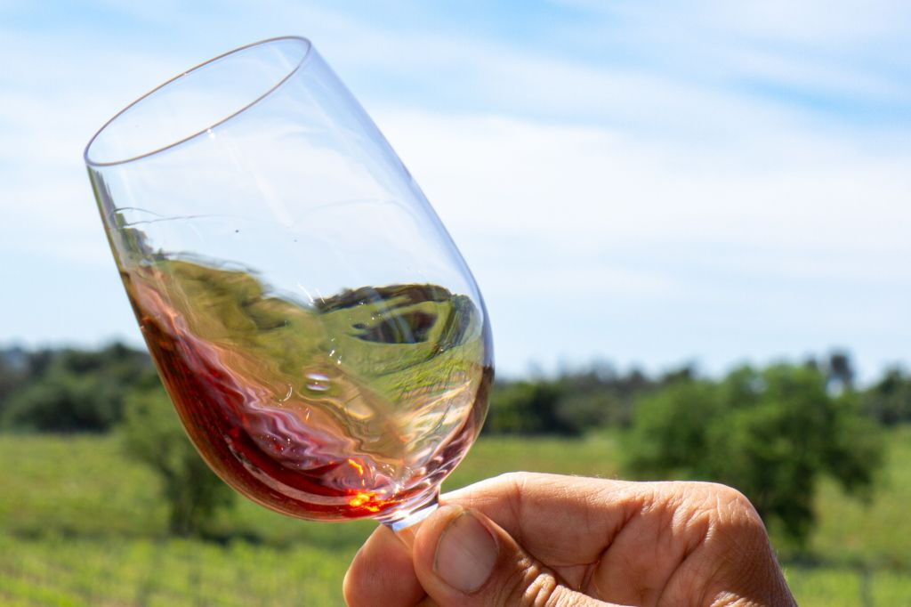 Desde Albufeira: Excursión de un día para catar vinos