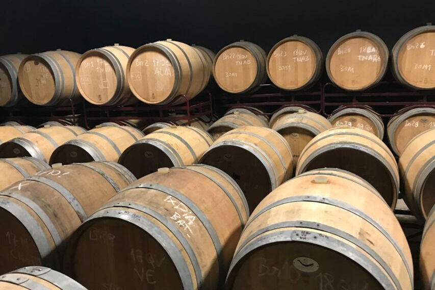 Desde Albufeira: Excursión de un día para catar vinos