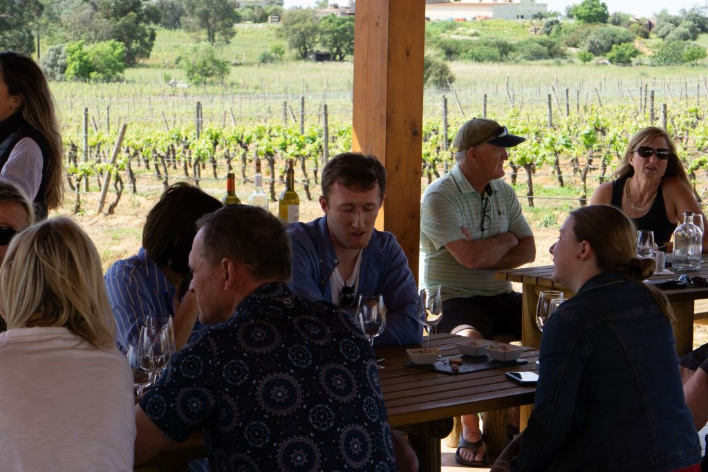 Desde Albufeira: Excursión de un día para catar vinos