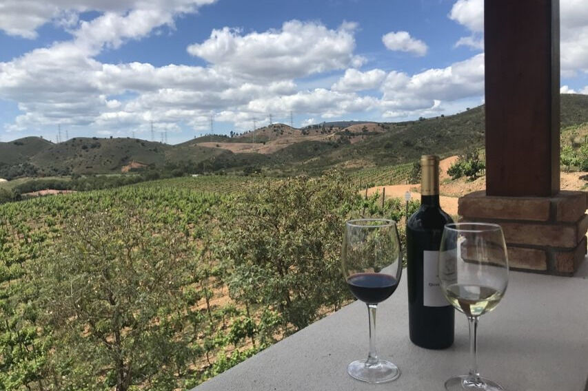 Desde Albufeira: Excursión de un día para catar vinos