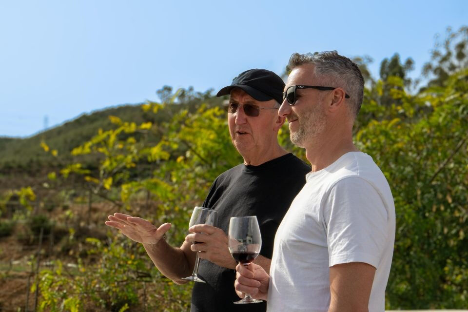 Desde Albufeira: Excursión de un día para catar vinos