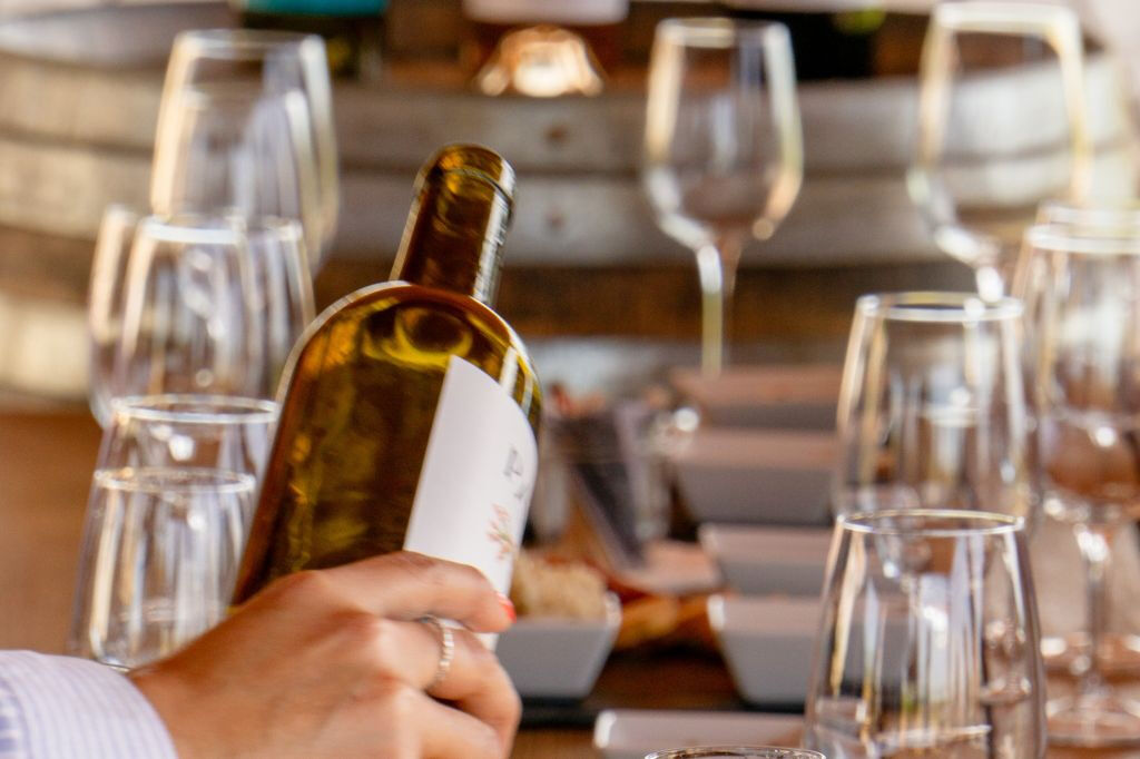Desde Albufeira: Excursión de un día para catar vinos