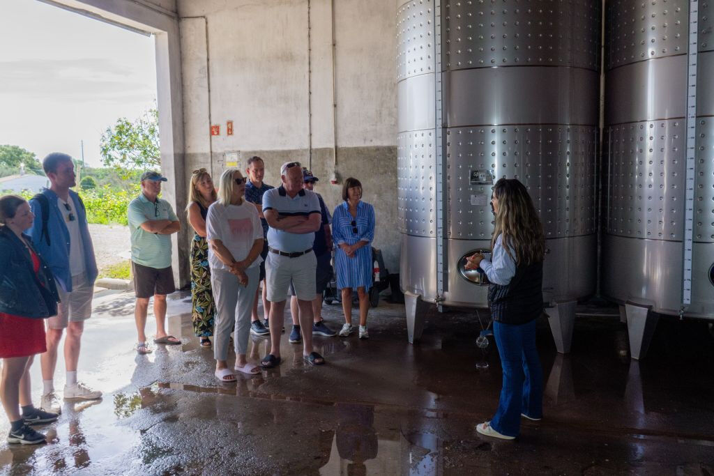 Desde Albufeira: Excursión de un día para catar vinos