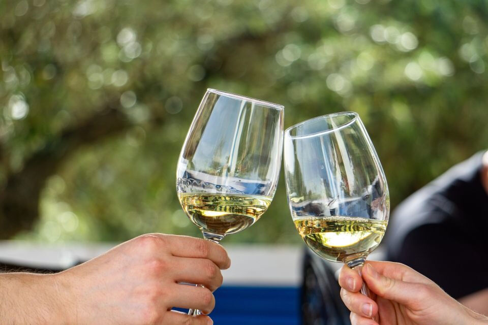 Desde Albufeira: Excursión de un día para catar vinos