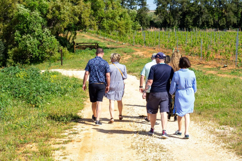 Desde Albufeira: Excursión de un día para catar vinos