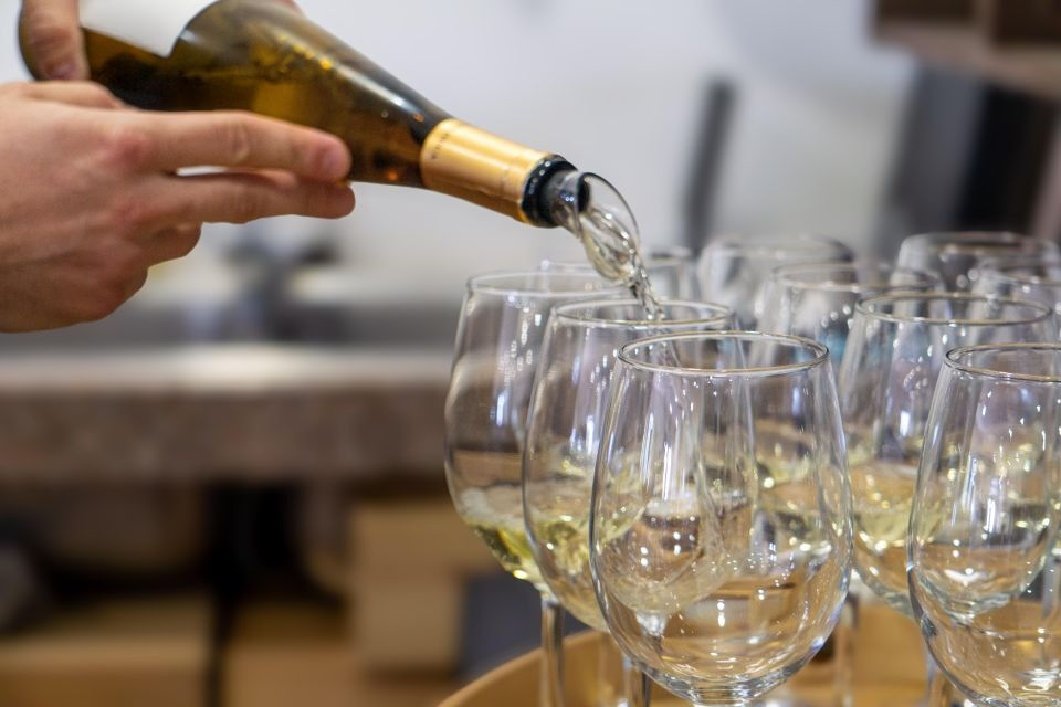 Desde Albufeira: Excursión de un día para catar vinos