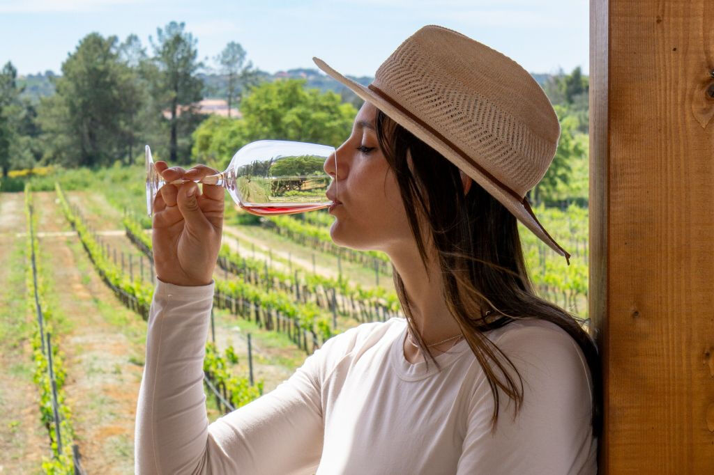 Desde Albufeira: Excursión de un día para catar vinos