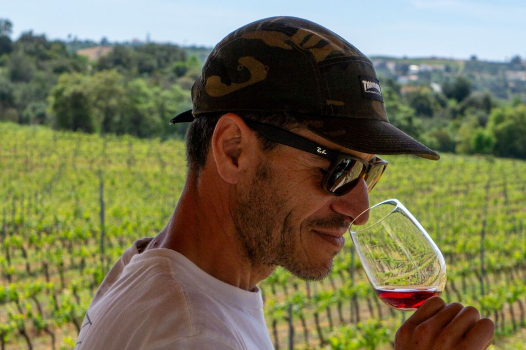 Desde Albufeira: Excursión de un día para catar vinos