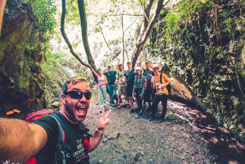 Excursión a la Selva Tropical - Viaje en grupo reducido con degustación