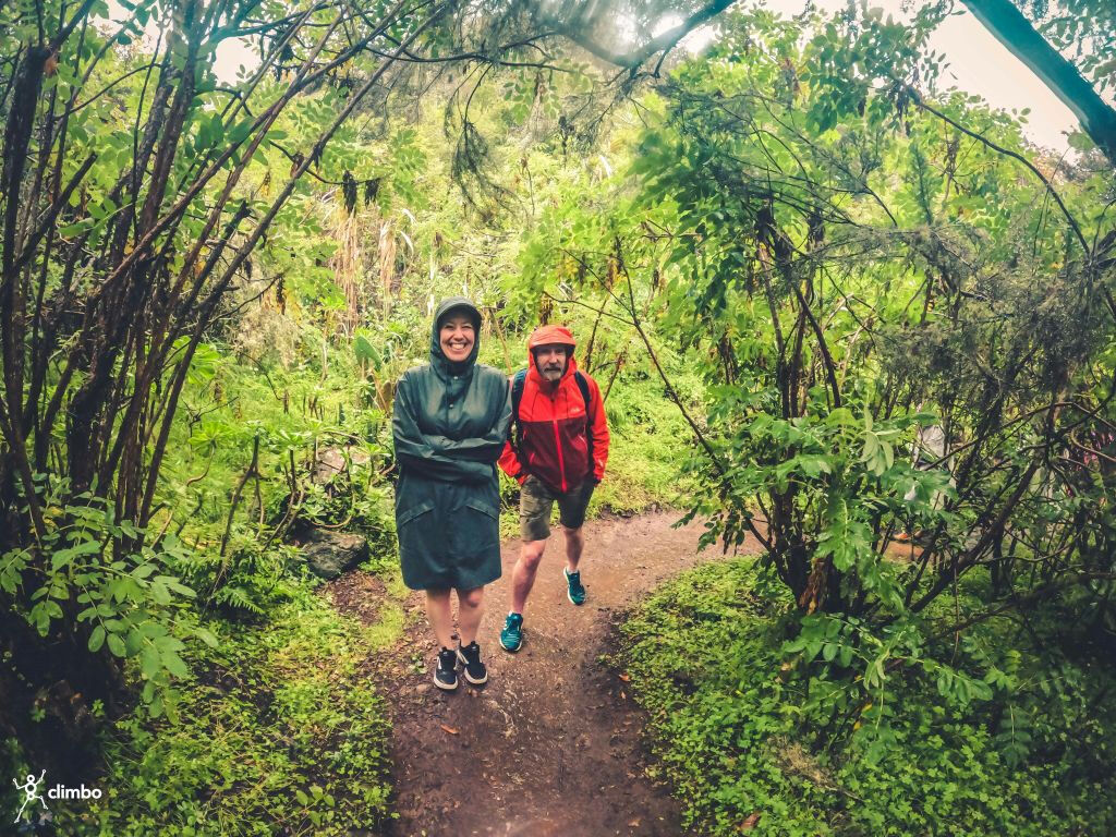 Excursión a la Selva Tropical - Viaje en grupo reducido con degustación