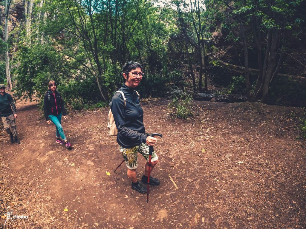 Excursión a la Selva Tropical - Viaje en grupo reducido con degustación