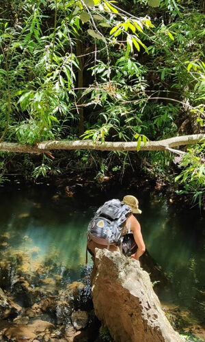 Excursión a la Selva Tropical - Viaje en grupo reducido con degustación