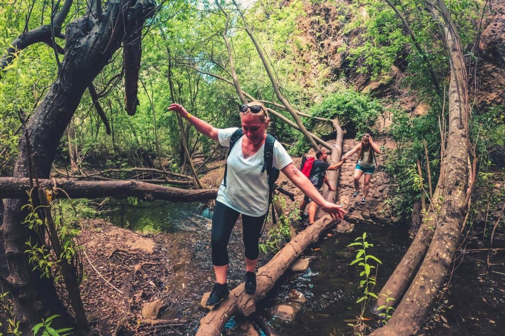 Excursión a la Selva Tropical - Viaje en grupo reducido con degustación