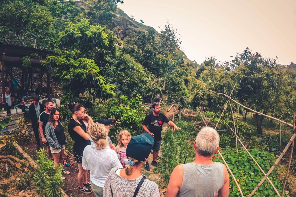 Excursión a la Selva Tropical - Viaje en grupo reducido con degustación