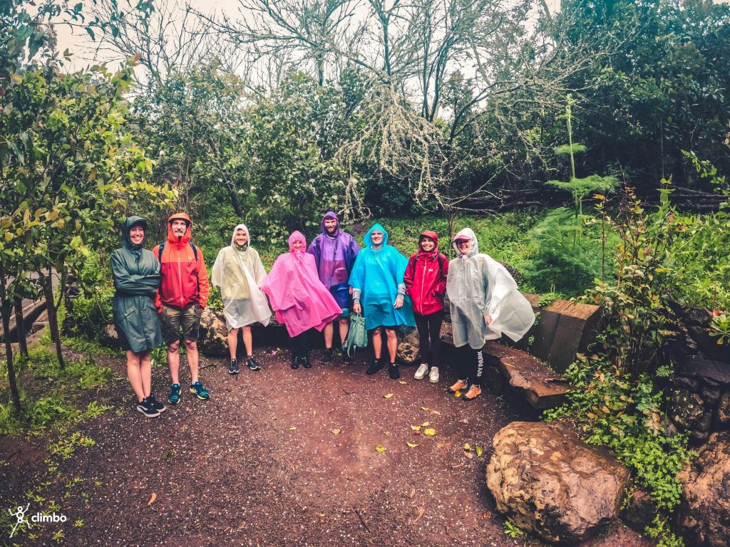 Excursión a la Selva Tropical - Viaje en grupo reducido con degustación