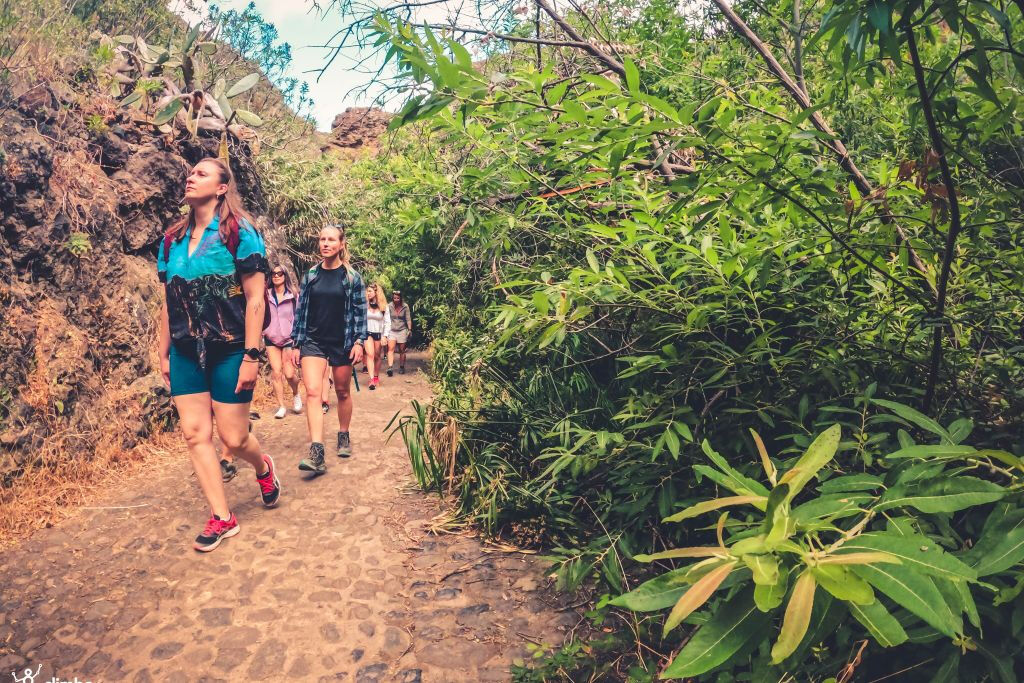 Excursión a la Selva Tropical - Viaje en grupo reducido con degustación