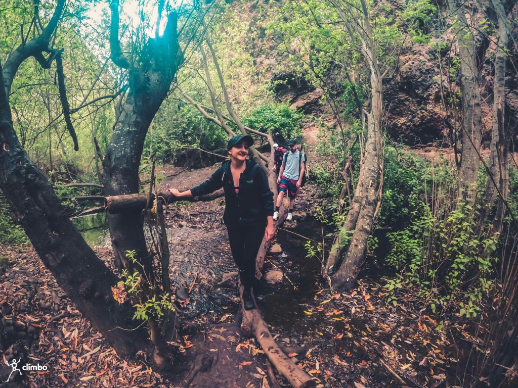 Excursión a la Selva Tropical - Viaje en grupo reducido con degustación