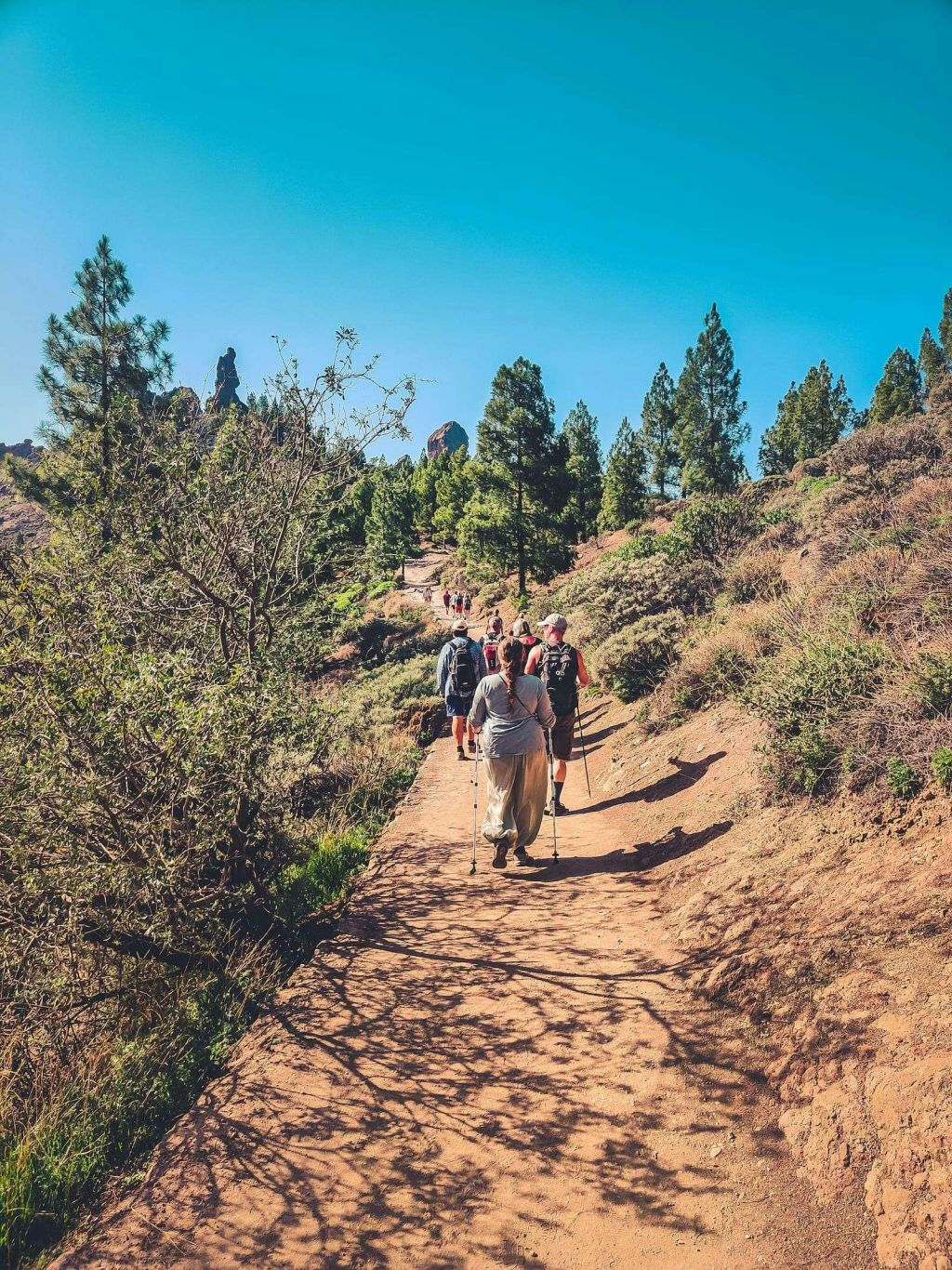 Visita al Corazón del Volcán + Degustación de Productos Locales ツ