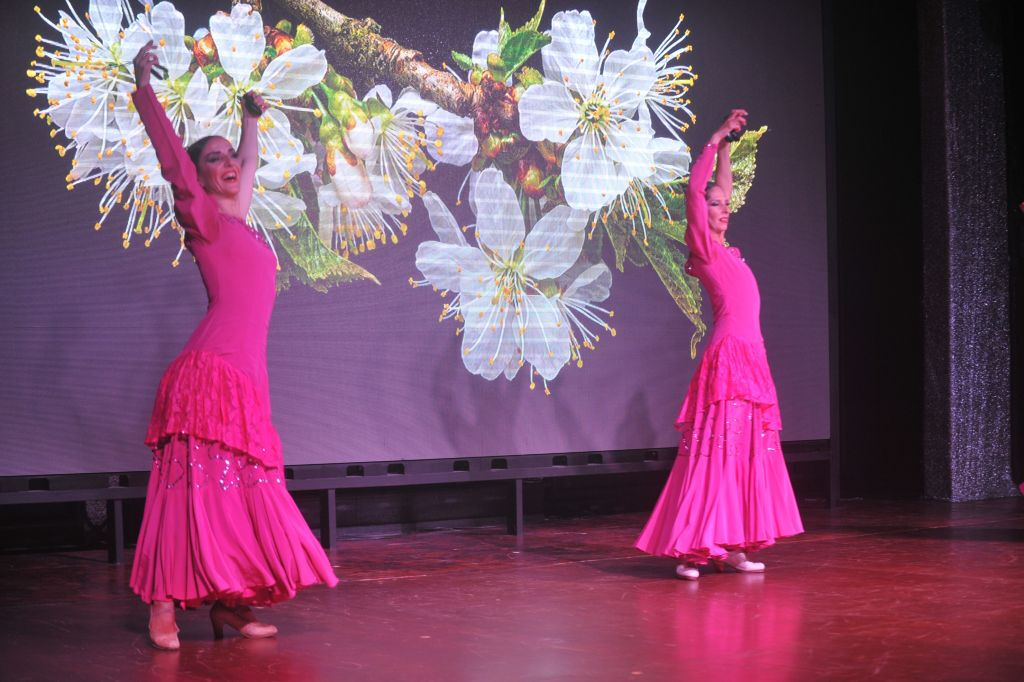 Espectáculo Flamenco en el Castillo de San Miguel  - Tenerife