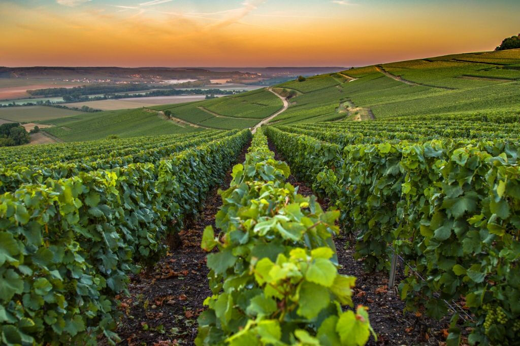 Niza: Visita a un Pueblo de la Provenza con Degustación de Vinos y Productos