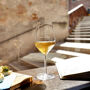 Venecia: Cata de vinos locales