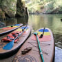 Standup Paddle Paiva River Tour from Porto with Transfer