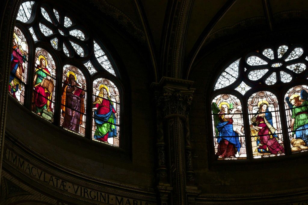 Il Museo della Dissonanza cognitiva