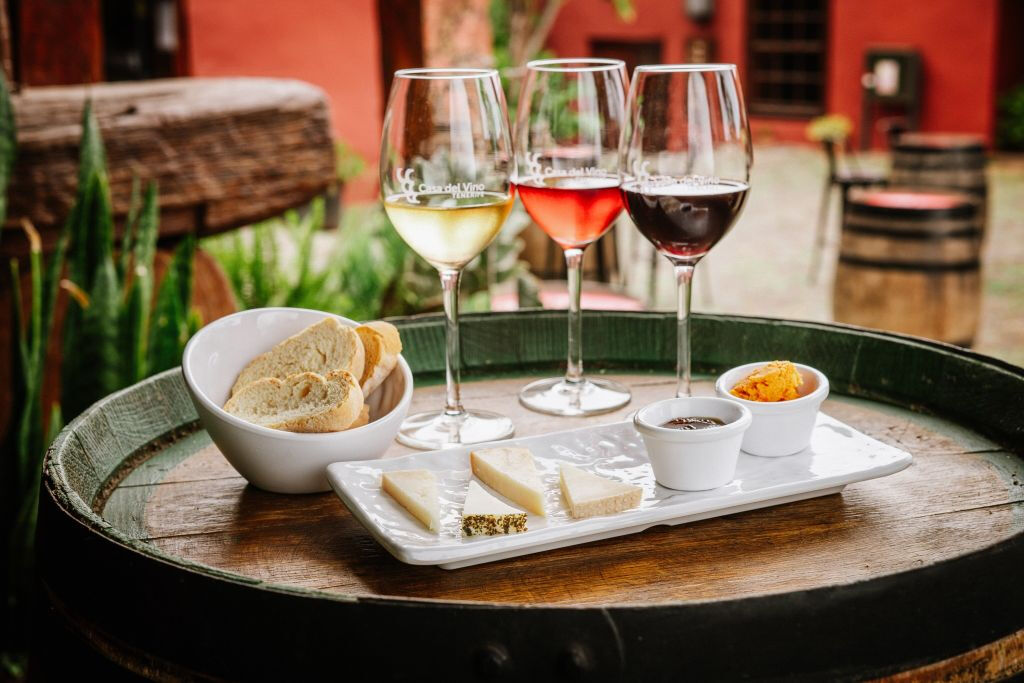 Tenerife: Visita Guiada a la Casa del Vino + Cata de Vinos (Opcional)