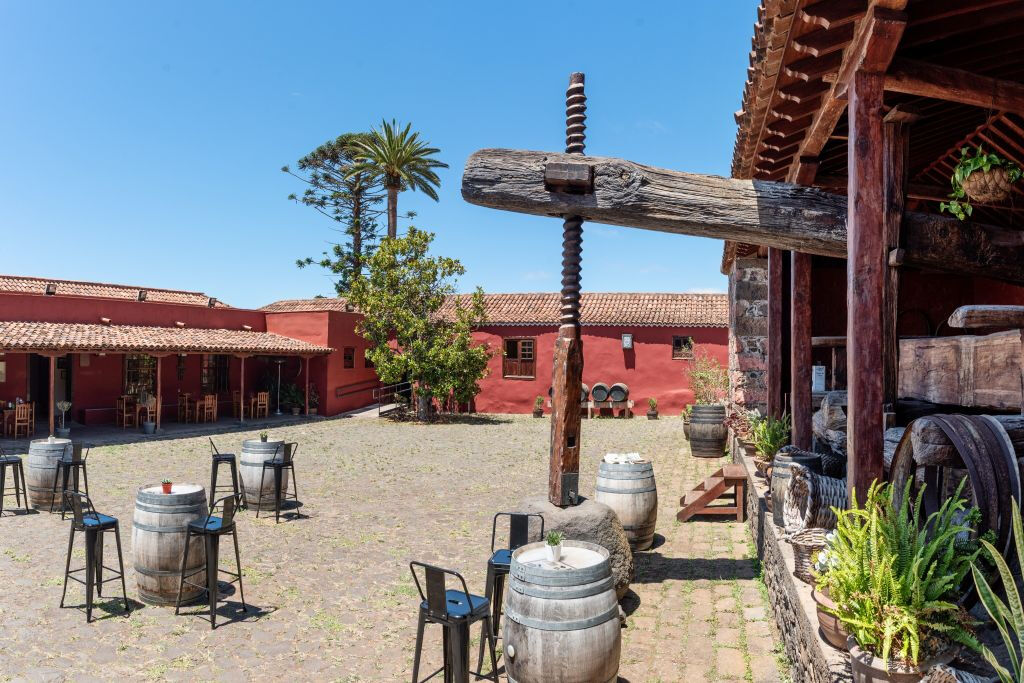 Tenerife: Visita Guiada a la Casa del Vino + Cata de Vinos (Opcional)