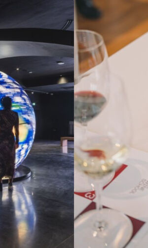 WOW École du vin de Porto : L'expérience du vin + dégustation personnalisée
