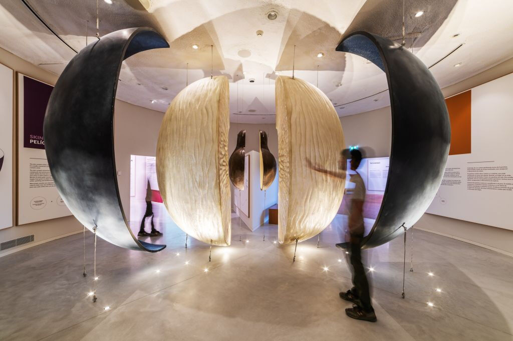 WOW Escuela del Vino de Oporto: La Experiencia del Vino + Cata Personalizada